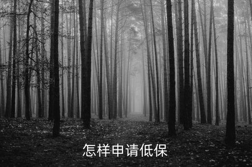怎樣申請低保