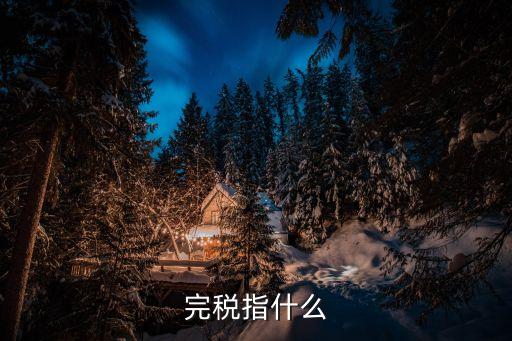 完稅是什么意思，完稅指什么