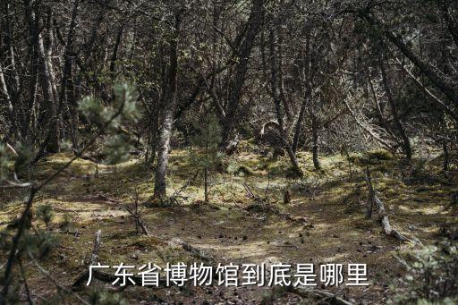 廣東省博物館到底是哪里