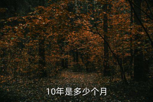 10年是多少個月