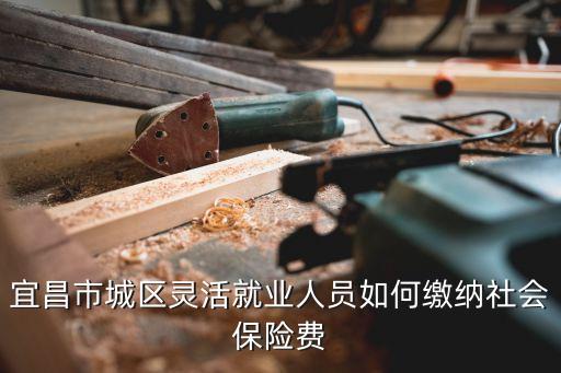 宜昌市城區(qū)靈活就業(yè)人員如何繳納社會保險費(fèi)