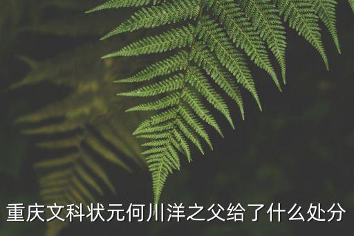 重慶文科狀元何川洋之父給了什么處分