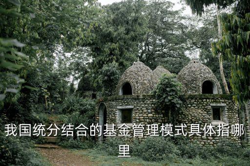 我國(guó)統(tǒng)分結(jié)合的基金管理模式具體指哪里