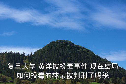 復(fù)旦大學(xué) 黃洋被投毒事件 現(xiàn)在結(jié)局如何投毒的林某被判刑了嗎殺