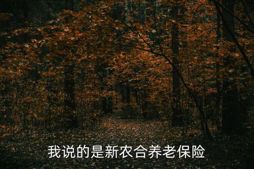 新農(nóng)合養(yǎng)老保險，我說的是新農(nóng)合養(yǎng)老保險