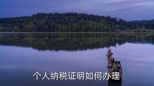 納稅人證明，個(gè)人納稅證明如何辦理