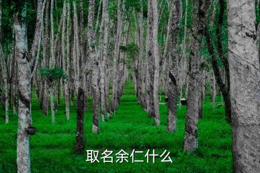 余仁，想幫我的兒子取個(gè)有霸氣的名字姓余仁字輩取什么名字呀