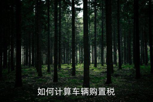 如何計算車輛購置稅