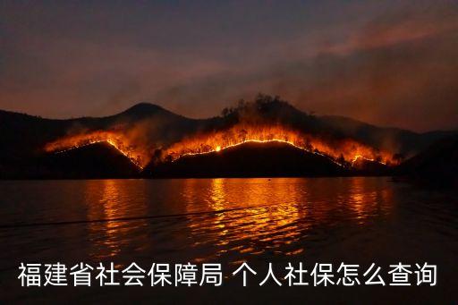 12333福建，福建123332013年養(yǎng)老保險年繳費基數(shù)15600元繳費月數(shù)12記賬