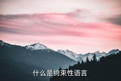 約束性，羈束性條款是什么意思