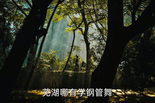 蕪湖哪有學(xué)鋼管舞