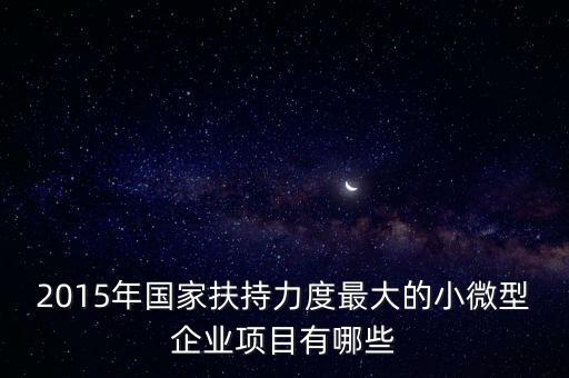 2015年國家扶持力度最大的小微型企業(yè)項目有哪些