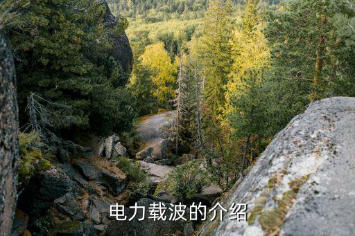電力通訊，電力系統(tǒng)主要通信方式