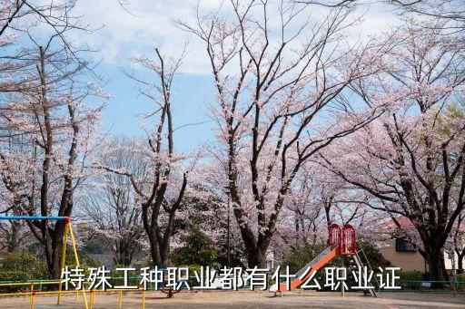特殊工種職業(yè)都有什么職業(yè)證
