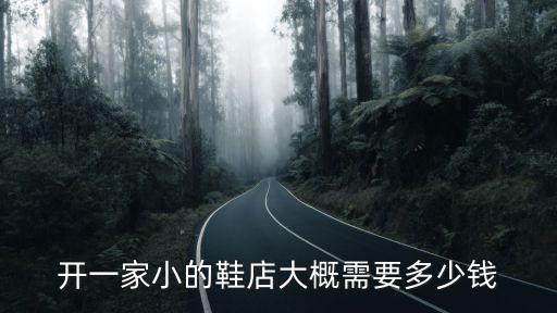 開鞋店需要多少資金，若是開一家普通的鞋店要多少錢