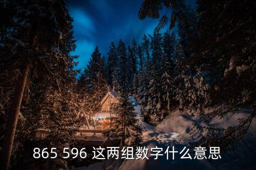 865 596 這兩組數(shù)字什么意思