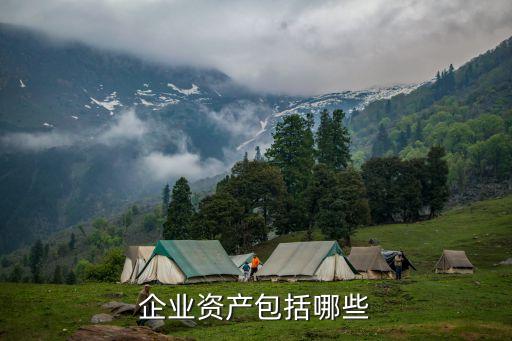 五大資產，請問總資產包括哪些啊
