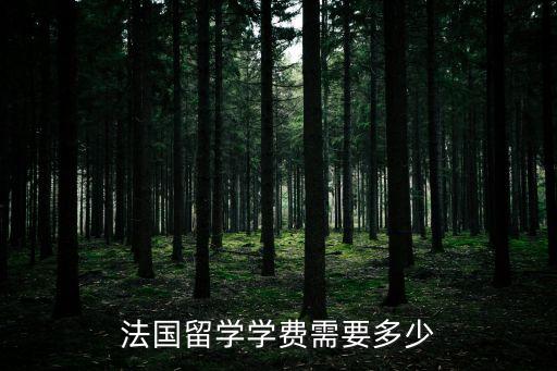 法國留學(xué)費(fèi)用，法國留學(xué)一年的費(fèi)用是多少錢