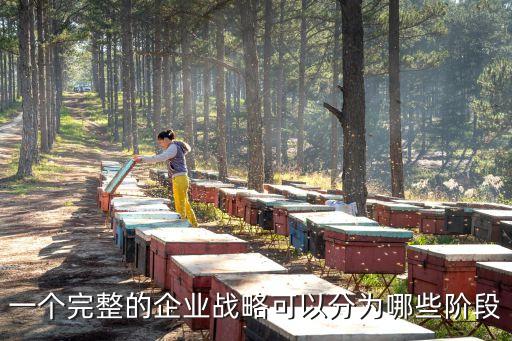 戰(zhàn)略階段，試述戰(zhàn)略管理的主要過程