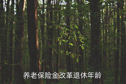 養(yǎng)老金改革，你好我國養(yǎng)老保險(xiǎn)制度改革的內(nèi)容和意義分別是什么
