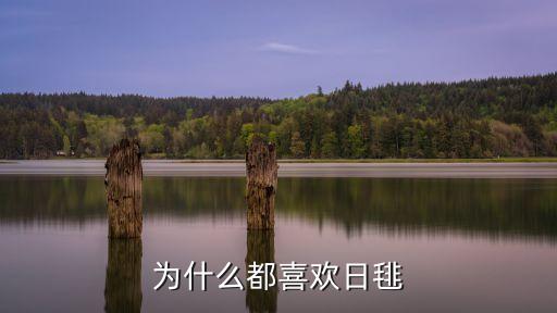 為什么都喜歡日毴