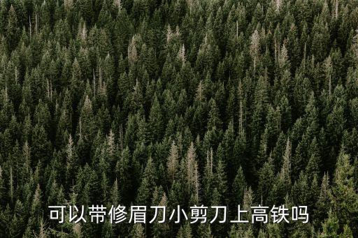 修眉刀可以帶上高鐵嗎，高鐵可以帶剃眉刀嗎 還有兩個人帶了三個行李箱算不算超重  問