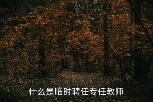 什么是臨時(shí)聘任專任教師
