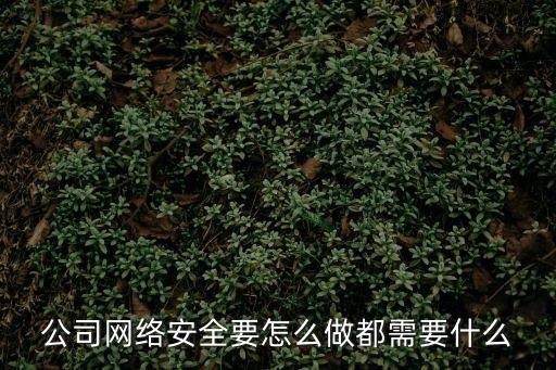 公司網(wǎng)絡(luò)安全要怎么做都需要什么