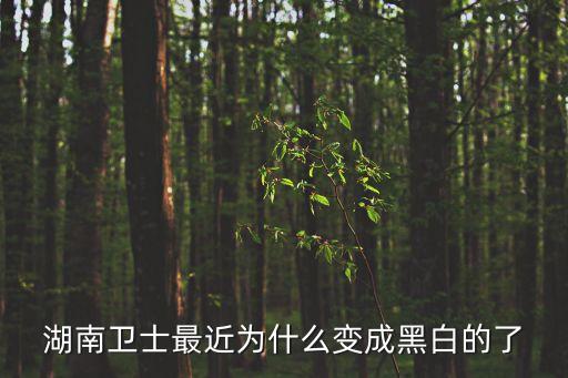 湖南衛(wèi)士最近為什么變成黑白的了
