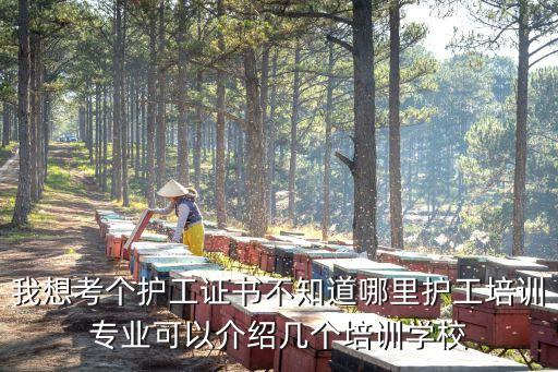 我想考個(gè)護(hù)工證書不知道哪里護(hù)工培訓(xùn)專業(yè)可以介紹幾個(gè)培訓(xùn)學(xué)校