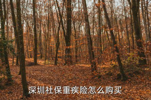 深圳重疾險，深圳社保重疾險怎么購買