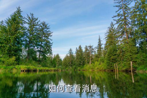 查詢(xún)信息，如何查看消息