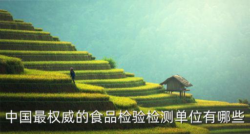 中國(guó)最權(quán)威的食品檢驗(yàn)檢測(cè)單位有哪些