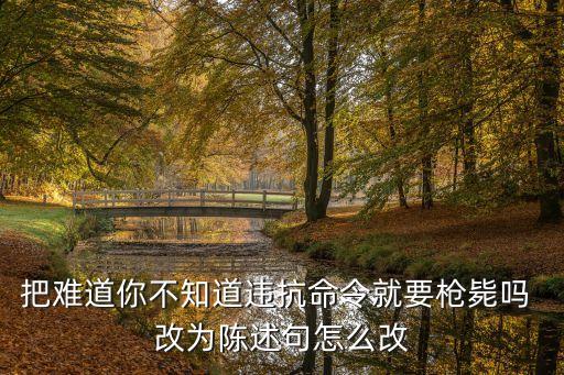 把難道你不知道違抗命令就要槍斃嗎 改為陳述句怎么改