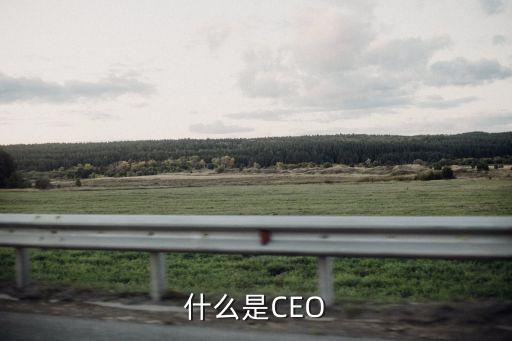 ceo，什么是CEO