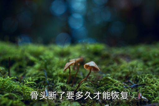 骨頭斷了要多久才能恢復(fù)