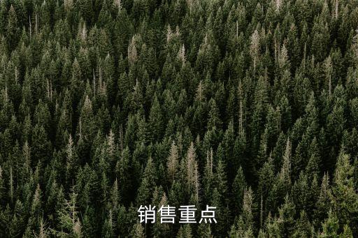 銷售重點