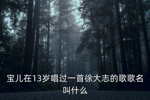 寶兒在13歲唱過一首徐大志的歌歌名叫什么