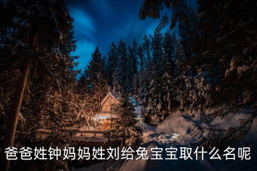 鐘文輝，爸爸姓鐘媽媽姓劉給兔寶寶取什么名呢