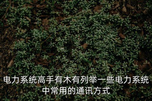 電力系統(tǒng)高手有木有列舉一些電力系統(tǒng)中常用的通訊方式