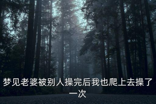 夢(mèng)見老婆被別人操完后我也爬上去操了一次