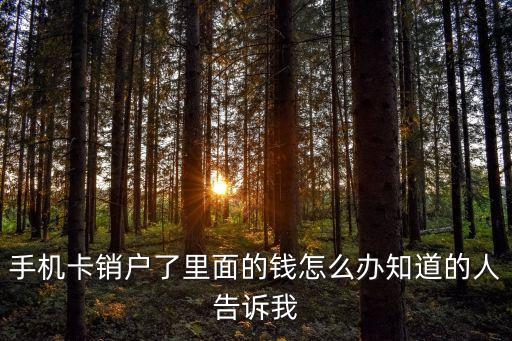 電話卡注銷剩余話費(fèi)怎么辦，手機(jī)卡不想用了里面還有話費(fèi)怎么辦