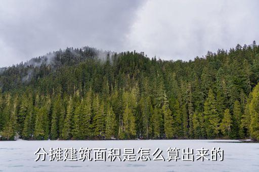 分?jǐn)偨ㄖ娣e是怎么算出來(lái)的