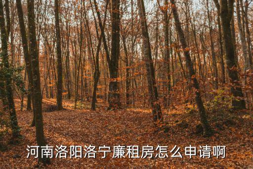 洛寧租房，洛寧縣房子多少錢一平方呀