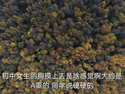 初中女生的胸摸上去是啥感覺啊大約是A罩的 同學(xué)說硬硬的