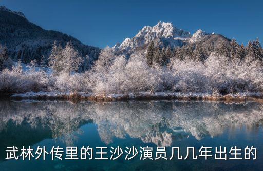 武林外傳里的王沙沙演員幾幾年出生的