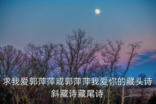 郭萍萍，求老婆我愛(ài)你藏頭詩(shī)或藏尾詩(shī)名字是郭萍萍