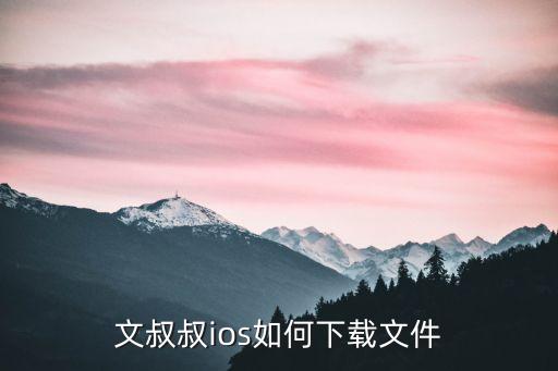 文叔叔ios如何下載文件
