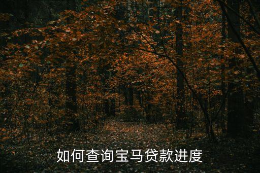 如何查詢寶馬貸款進(jìn)度