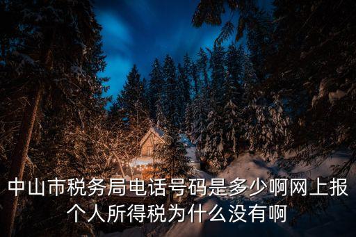 中山市稅務(wù)局電話號(hào)碼是多少啊網(wǎng)上報(bào)個(gè)人所得稅為什么沒有啊